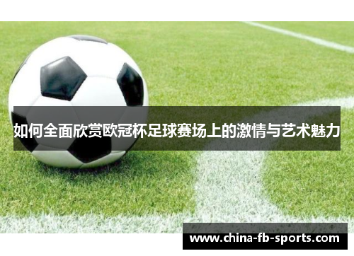如何全面欣赏欧冠杯足球赛场上的激情与艺术魅力 如何全面欣赏欧冠杯足球赛场上的激情与艺术魅力