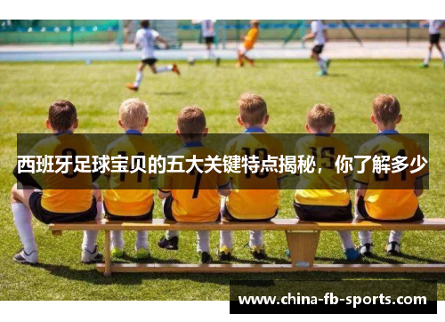 西班牙足球宝贝的五大关键特点揭秘,你了解多少 西班牙足球宝贝的五大关键特点揭秘,你了解多少