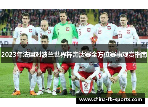 2023年法国对波兰世界杯淘汰赛全方位赛事观赏指南 2023年法国对波兰世界杯淘汰赛全方位赛事观赏指南