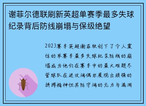 谢菲尔德联刷新英超单赛季最多失球纪录背后防线崩塌与保级绝望